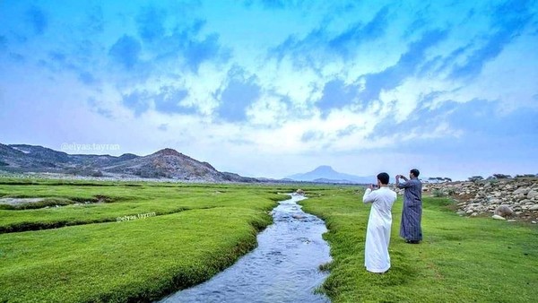 Foto: Arab Saudi Ternyata Bisa Sehijau Ini