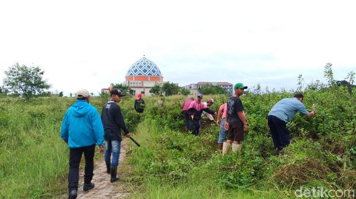Foto: Moch Prima Fauzi/detikFinance Foto: Moch Prima Fauzi/detikFinance