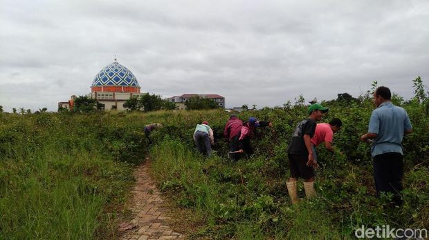 Warga ikut program padat karya yang digelar STPI Curug
