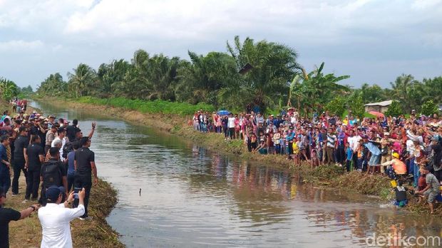 Ular Mungil dan Kaos Terbang saat Jokowi Sambangi Banyuasin