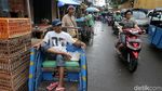 Anies Akan Hidupkan Kembali Becak di Jakarta