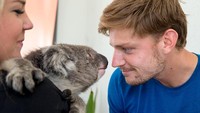 Petenis Belgia, David Goffin, menatap koala, hewan khas Australia pada hari ketiga Australia Terbuka 2018. (Fiona Hamilton/Tennis Australia via Getty Images)