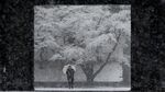 Foto: Istana Kaisar Jepang Memutih karena Salju