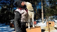 Tidak hanya melatih anjing-anjingnya, Marla juga mencium dan membelai anjingnya dengan kasih sayang. (AFP)