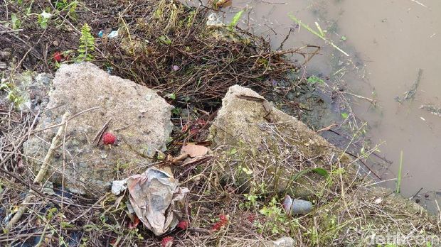 Ular Mungil dan Kaos Terbang saat Jokowi Sambangi Banyuasin
