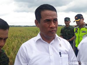 Ke Jatim, Mentan Panen Raya Padi di Bojonegoro