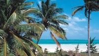 Ada pula pulau Bird Cay di Bahamas, Amerika Utara. Pulau ini seharga US$ 28 juta atau Rp 378 miliar. Pulau tersebut memiliki luas 250 hektar dengan objek hiburan pantai dan resort. Istimewa/Gulf News.