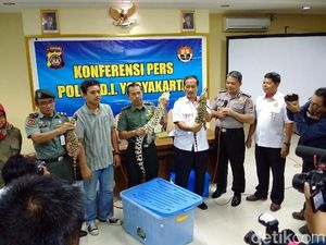 Cyber Patrol Polda DIY Gagalkan Perdagangan Buaya Muara