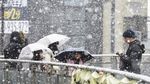 Foto: Tokyo Diselimuti Salju Tebal yang Langka