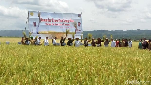 Mentan panen padi di Kudus