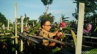 Foto:  Setelah selesai memanen padi, Anies juga memanen buah naga. Fotografer:  Aditya Fajar/ detikcom
