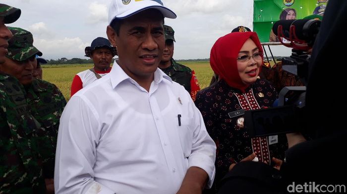 Foto: Fadhly Fauzi Rachman/detikFinance Foto: Fadhly Fauzi Rachman/detikFinance