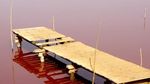 Foto: Tahu Danau Pink Ini Nggak?