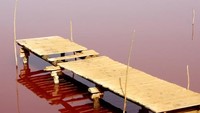 Saat musim panas, danau ini akan terlihat berwarna pink cerah dengan pelangi jika beruntung. Cantik! (Instagram/mrrrloes)