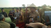 Foto: Anies kemudian mengenakan caping khas petani dan turun ke sawah.  Fotografer: Aditya Fajar/ detikcom