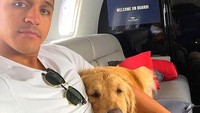 Foto: Anjingnya Alexis seperti tidak mau lepas. Manja banget ya di dalam pesawat. (Instagram/Alexis Sanchez)