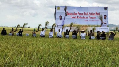 Naik Traktor hingga Masuk Sawah, Mentan Cek Panen Padi di Jatim-Jateng