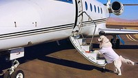 Foto: Saat terbang naik jet pribadi, Alexis kerap mengajak serta anjing kesayangannya. Lewat Instagram, Alexis kerap berbagi momen ini kepada 8,1 juta pengikutnya. (Instagram/Alexis Sanchez)