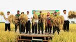 Naik Traktor hingga Masuk Sawah, Mentan Cek Panen Padi di Jatim-Jateng