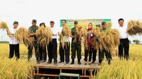 Di lokasi itu, Mentan panen di lahan seluas 1.800 hektar. (Dok Kementerian Pertanian).