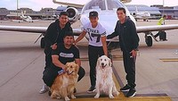 Foto: Alexis sepertinya harus selalu ditemani dengan anjingnya. Lengket banget. (Instagram/Alexis Sanchez)