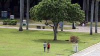 Pencopotan pagar pembatas rumput ini adalah salah satu langkah Sandiaga menjadikan Monas mirip Central Park. Rengga Sancaya/detikcom.