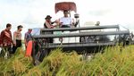 Naik Traktor hingga Masuk Sawah, Mentan Cek Panen Padi di Jatim-Jateng