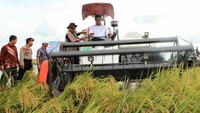 Mentan memulai panen Raya di wilayah Jawa Timur, Senin (22/1/2018). (Dok Kementerian Pertanian).