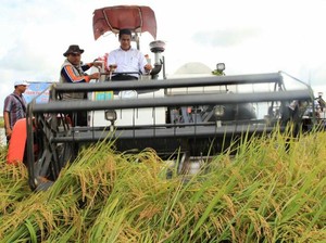 Meski Kemarau, Kementan Optimistis Stok Beras Nasional Aman