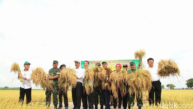 Mentan panen padi di Grobogan-Jateng