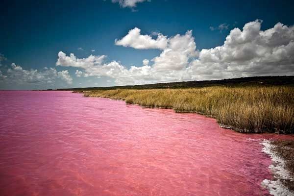 Air yang berwarna pink ini disebabkan terumbu karang atau algae yang berwarna pink dan menyebabkan air juga ikut berwarna pink (Afro Tourism)