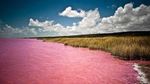 Foto: Tahu Danau Pink Ini Nggak?