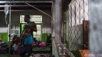 Korban gizi buruk dari Kabupaten Asmat, Papua, terus bertambah. Korban adalah anak-anak. M Agung Rajasa/Antara Foto.