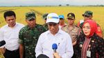 Naik Traktor hingga Masuk Sawah, Mentan Cek Panen Padi di Jatim-Jateng