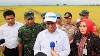 Panen Raya dilakukan di persawahan Desa Gandong Arum Kecamatan Kanor, kabupaten Bojonegoro, Jawa Timur. (Dok Kementerian Pertanian).