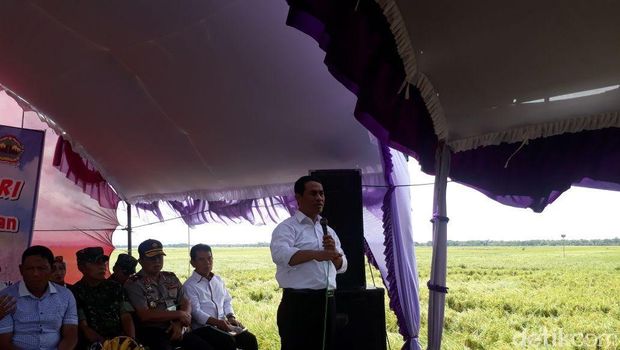 Mentan tanam dan panen padi di Demak