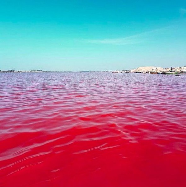 Danau pink ini juga terbilang unik. Karena letaknya berada di pinggir pantai, di tengah-tengah pulau (Thinkstock) Danau pink ini juga terbilang unik. Karena letaknya berada di pinggir pantai, di tengah-tengah pulau (Thinkstock)