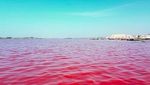 Foto: Tahu Danau Pink Ini Nggak?