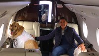 Foto: Alexis sangat menyayangi anjingnya, sudah seperti keluarganya sendiri. Anjingnya bahkan pakai kaos seperti layaknya manusia. Gemes banget! (Instagram/Alexis Sanchez)