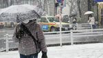 Foto: Tokyo Diselimuti Salju Tebal yang Langka