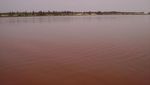 Foto: Tahu Danau Pink Ini Nggak?