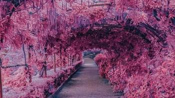 Makoto Shinkai adalah salah satu tokoh pembuat film anime Jepang yang difavoritkan Sasso. (Foto: Instagram)