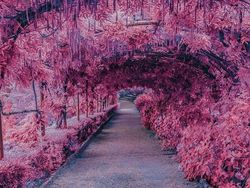 Karya Unik Fotografer Fans Berat Anime Jepang