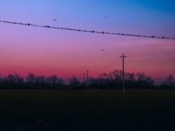 Karya Unik Fotografer Fans Berat Anime Jepang