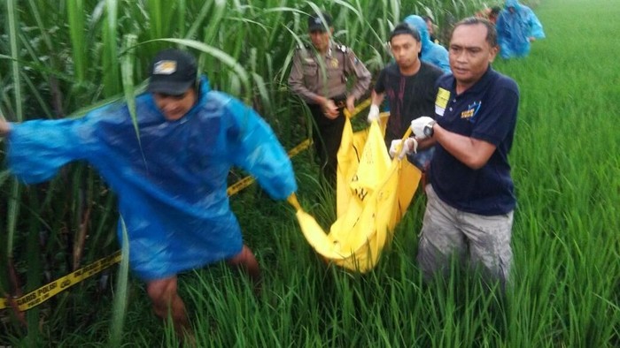 Mayat Dalam Kondisi Terbakar Ditemukan di Kebun Tebu Kediri