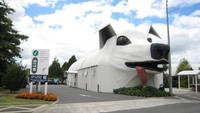 Bangunan berbentuk anjing ini berada di kota Tiau, Selandia Baru. Itu adalah pusat informasi kota atau disebut i-SITE Visitor Centre. Bangunan ini mulai melakukan konstruksi pada 1990-an. Foto: Emilee Rader/Atlasobscura