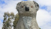 Koala raksasa berdiri di kawasan Victoria, Australia. Bangunan setinggi 14 meter ini dibuat oleh pemahat Ben Van Zetton dengan tujuan untuk menyadarkan warga akan populasi Koala yang kian menyusut. Foto: KnitSpirit/Atlasobscura