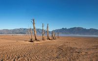 Ilustrasi kekeringan (Getty Images)