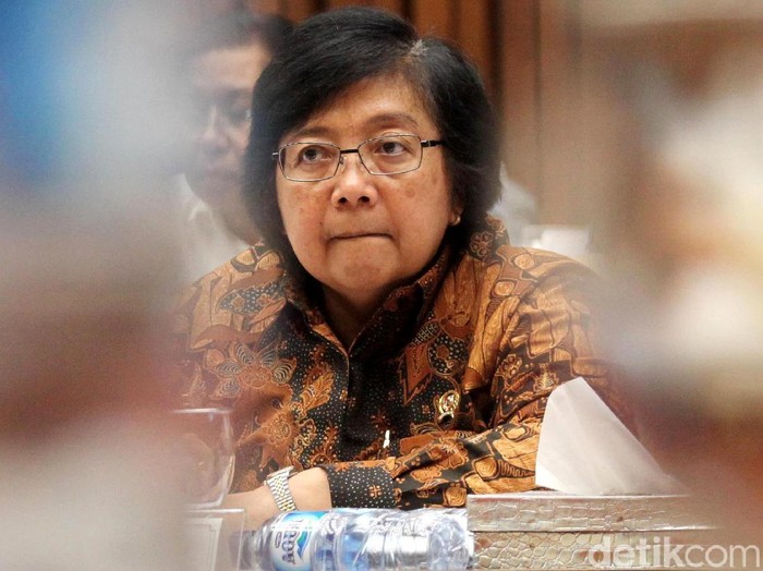 Menteri Lingkungan Hidup dan Kehutanan Siti Nurbaya dan DPR menggelar rapat membahas orangutan yang ditembak dan dipenggal di Kalimantan Tengah. Rapat digelar di gedung DPR, Jakarta, Rabu (24/1/2018).