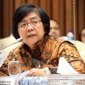 Menteri LHK Soroti Masalah Tailing Freeport di Papua